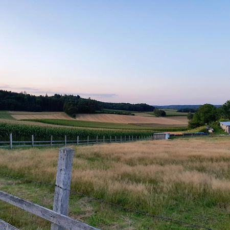 Bett'N Glueck - Uebernachtung & Fruehstueck Bed & Breakfast Zusmarshausen Dış mekan fotoğraf